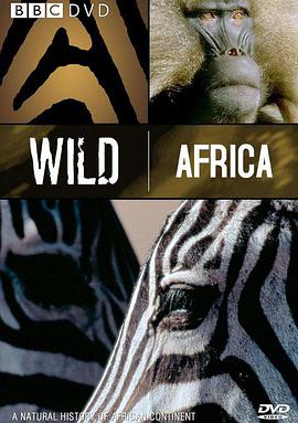野性非洲 非洲：发现未知3