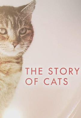 猫科动物的故事 第01集